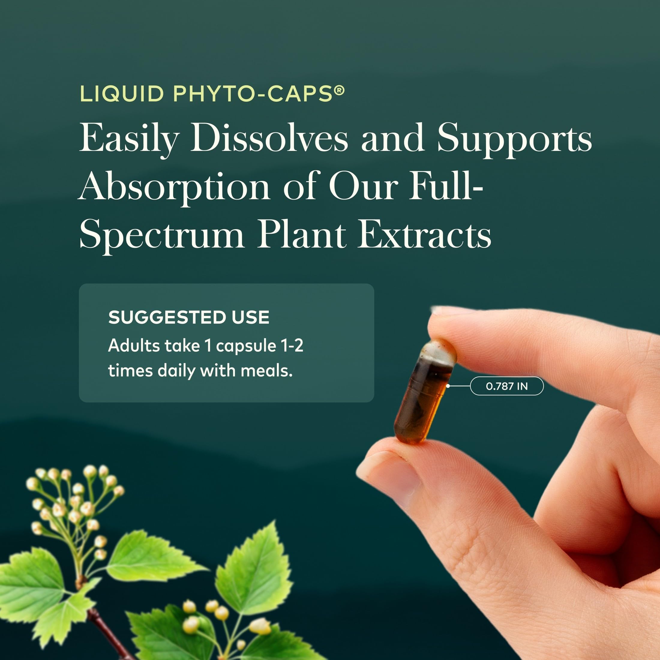 Gaia Herbs liquid phyto-cap texture demonstrating concentrated botanical extracts