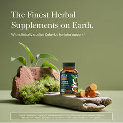 Gaia Herbs close-up of liquid phyto-cap texture and smooth finish