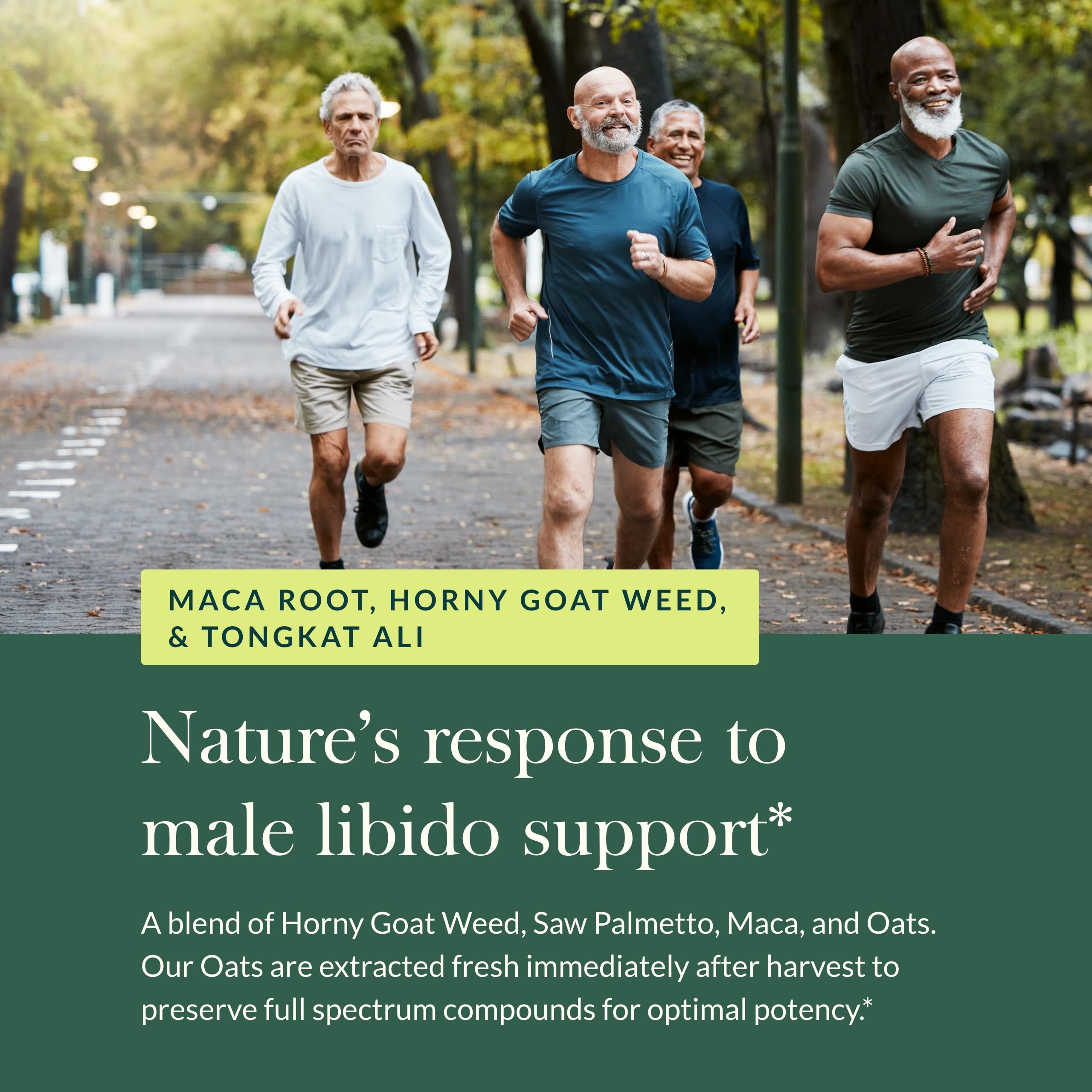 Prostate health and hormone balance concept