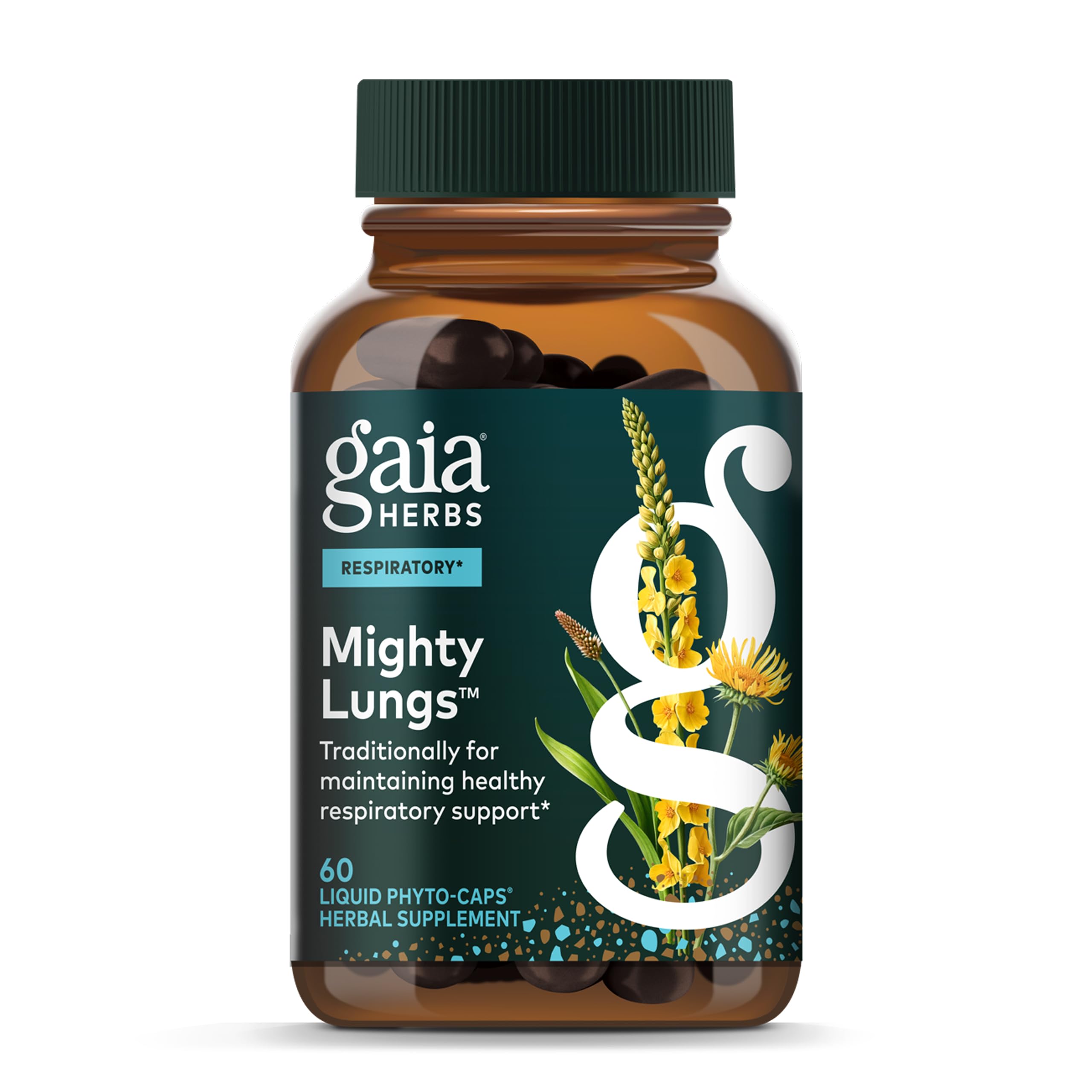 Front view of Gaia Herbs Mighty Lungs package