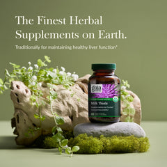 Gaia Herbs Milk Thistle bottle back label with supplement facts