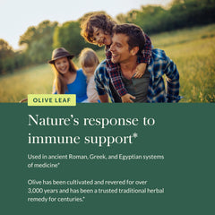 Olive leaf extract and oleuropein illustration for immune support