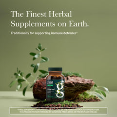 Gaia Herbs Olive Leaf liquid phyto-caps pour for convenient daily use.