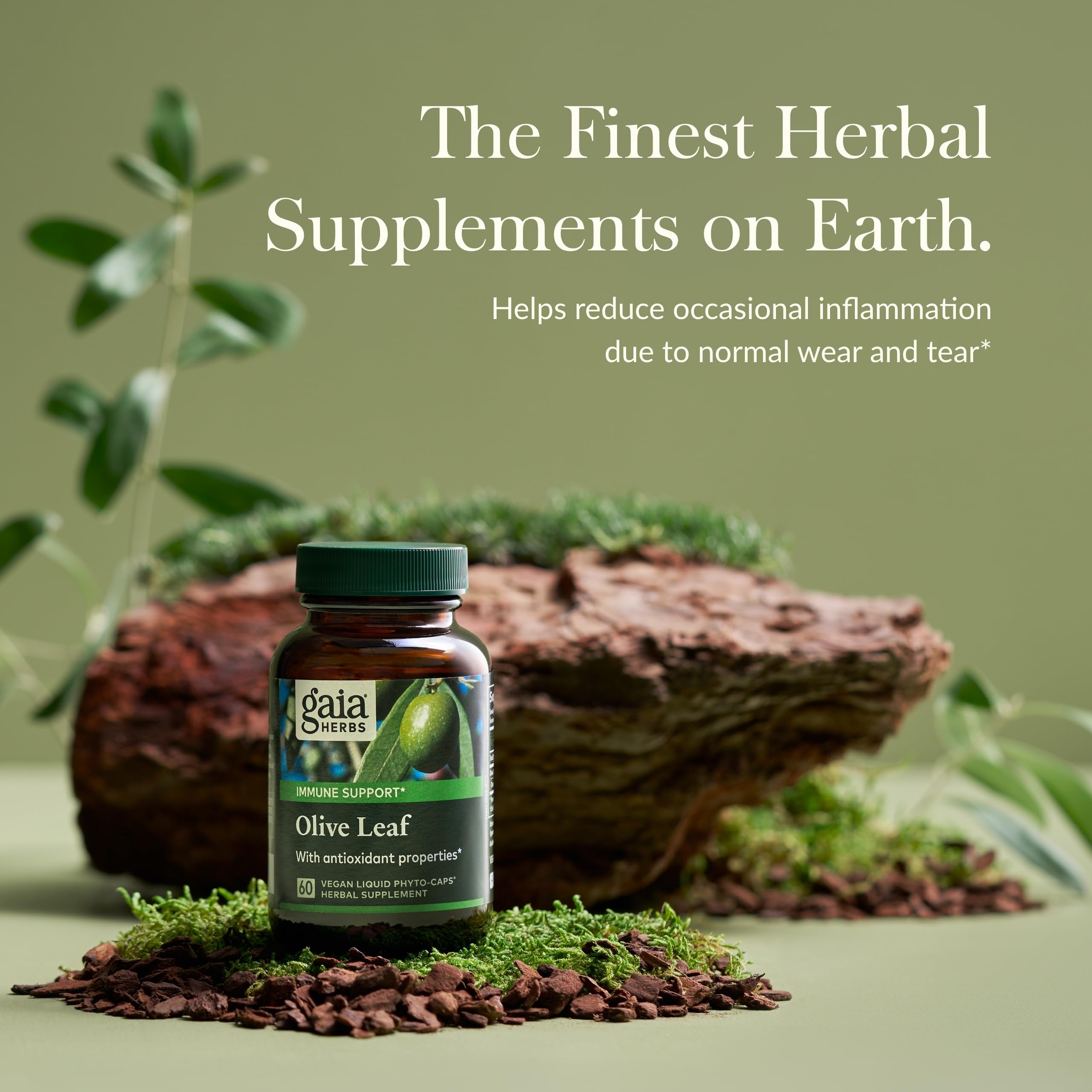 Close-up of Gaia Herbs Olive Leaf capsules
