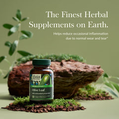 Close-up of Gaia Herbs Olive Leaf capsules