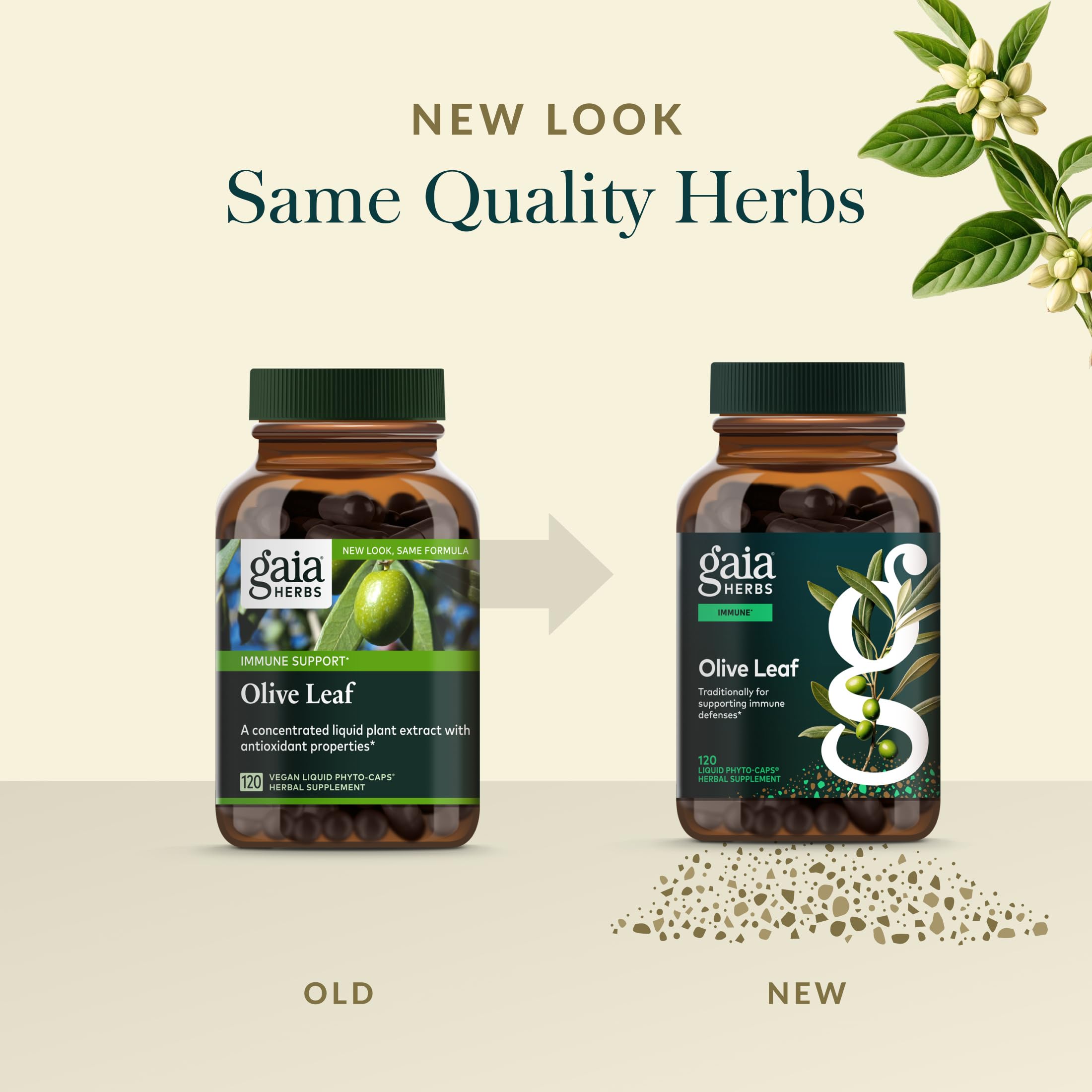 Gaia Herbs Olive Leaf label showcases single-herb extract for immune wellness.