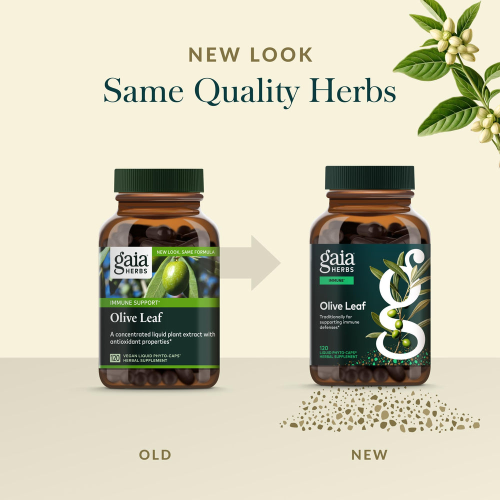 Gaia Herbs Olive Leaf label showcases single-herb extract for immune wellness.