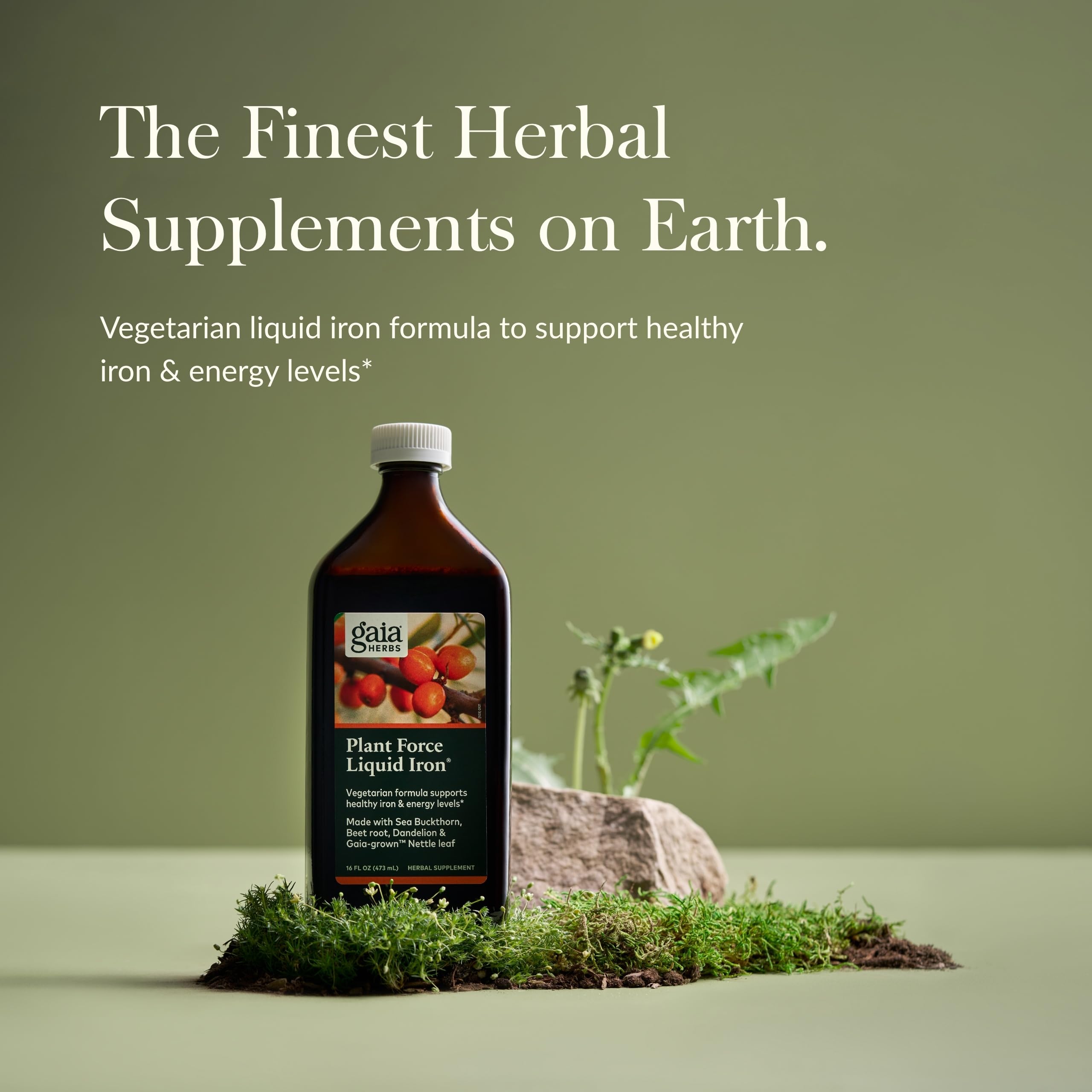 Gaia Herbs Plant Force Liquid Iron bottle back with nutrition information