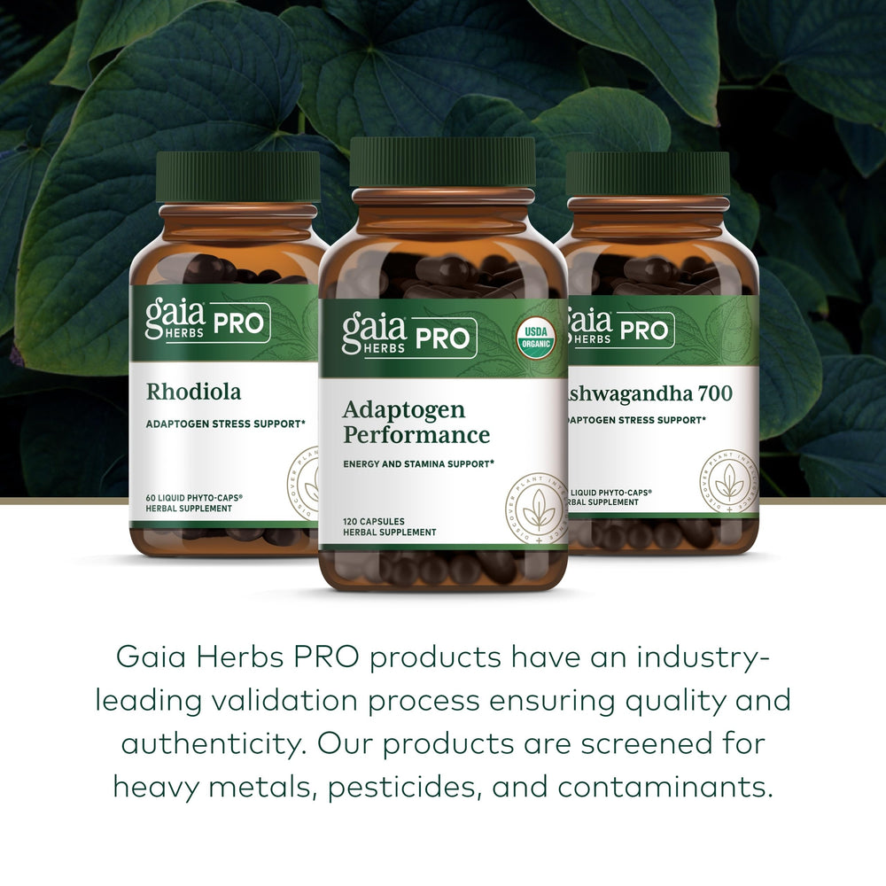 Harvesting herbs at peak potency for Gaia Herbs