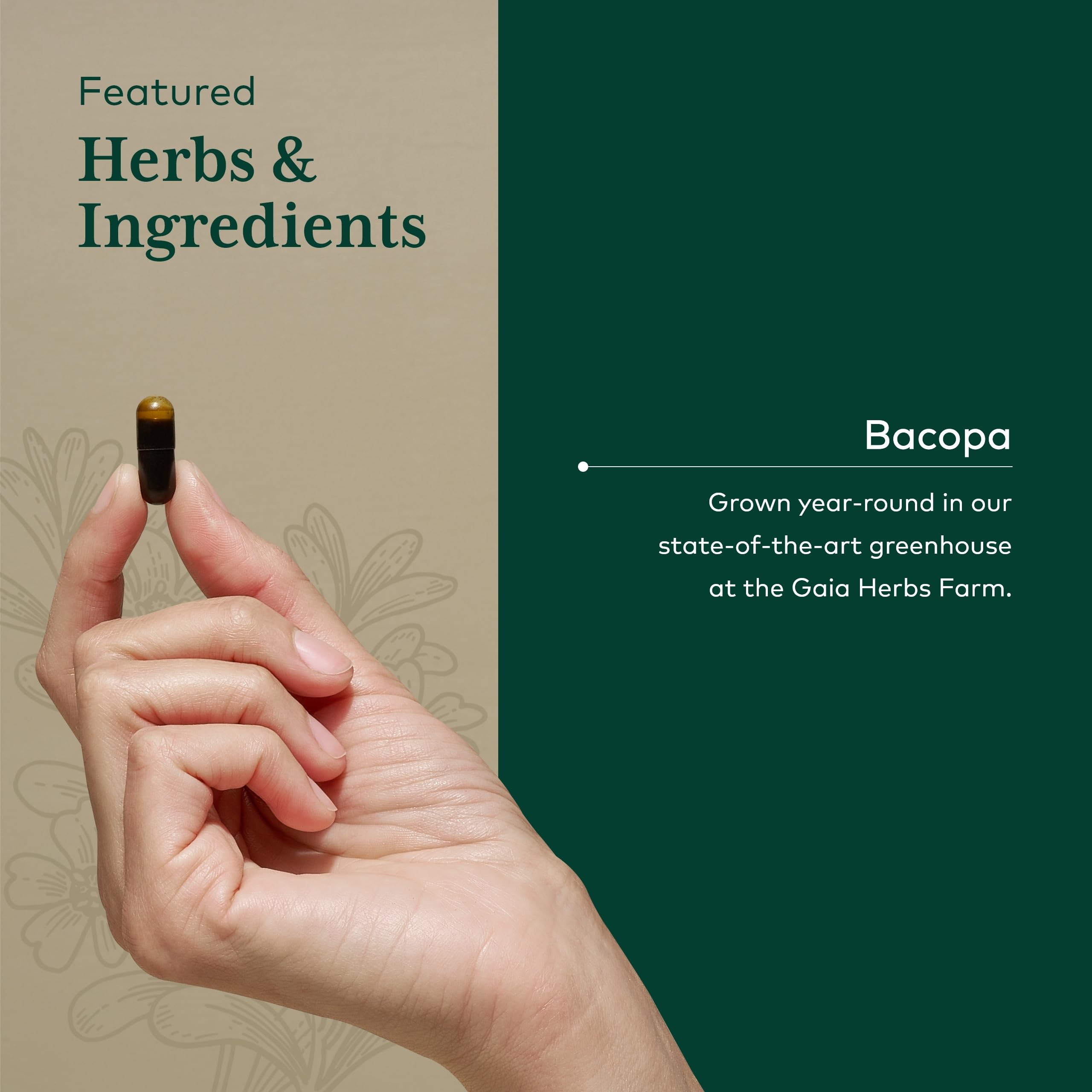 Bacopa monnieri extract ingredients label