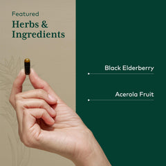 Concentrated elderberry formula with 10,100 mg per serving