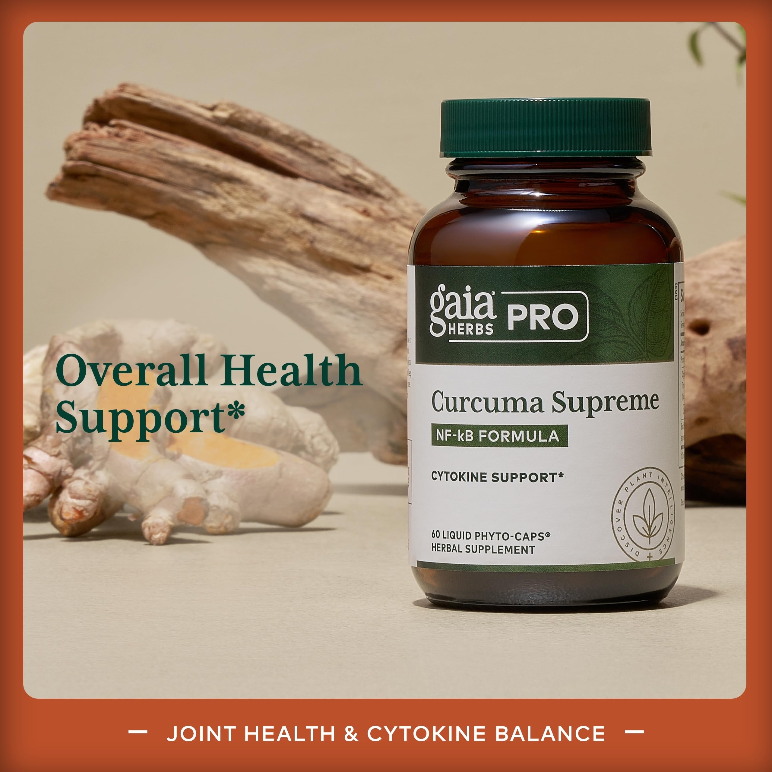 Black pepper extract to improve curcumin absorption