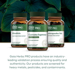 Gaia Herbs PRO bottle held in hand to show actual size and servings