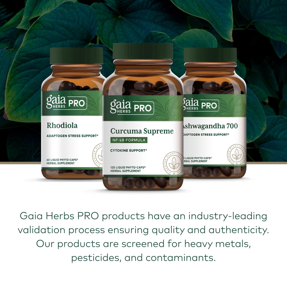 GAIA HERBS PRO turmeric root close-up showing plant source and natural curcumin benefit