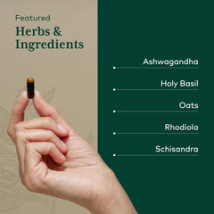 GAIA Herbs Pro Daytime HPA ingredients include ashwagandha and rhodiola.