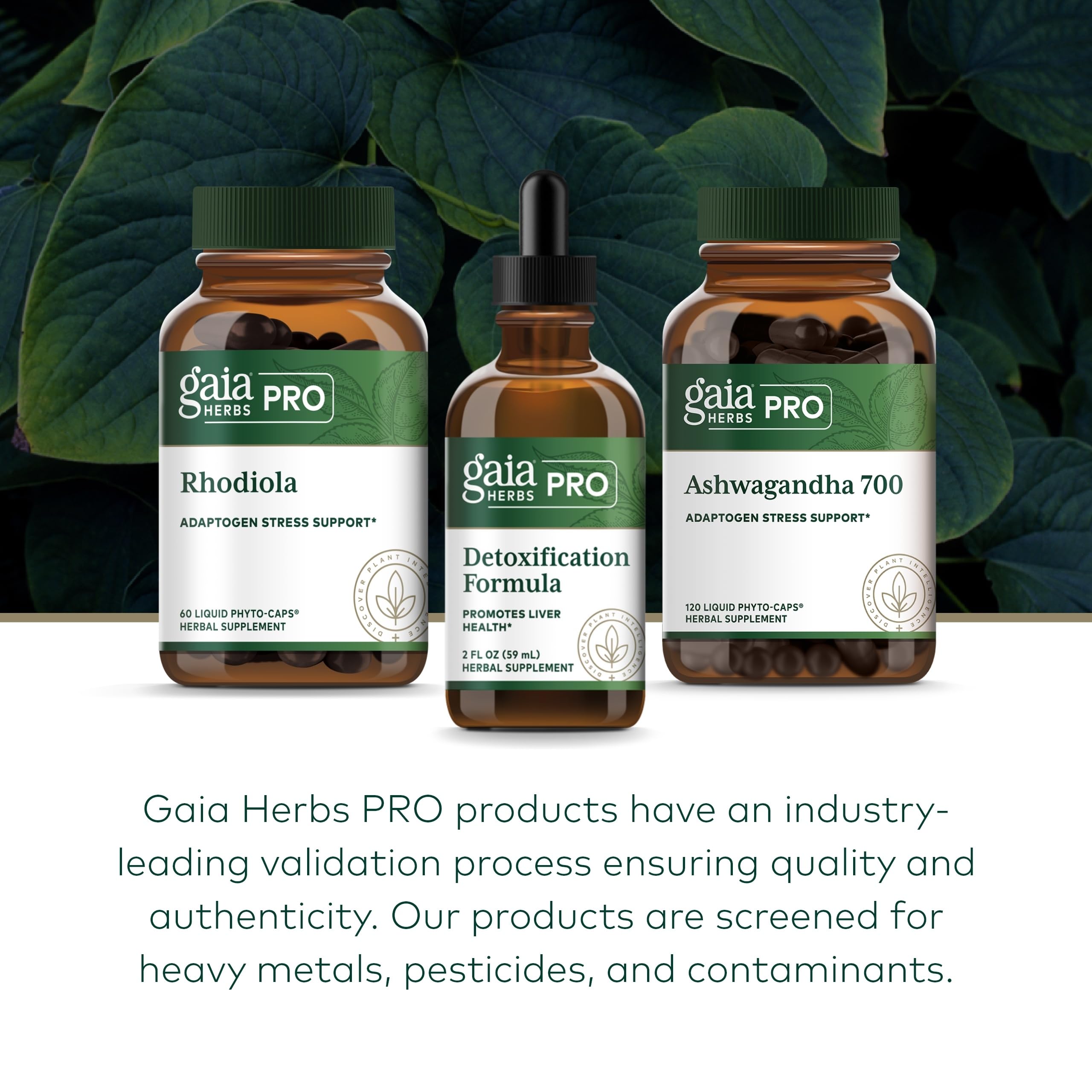 2 fl oz Gaia Herbs PRO Detoxification Formula bottle on display