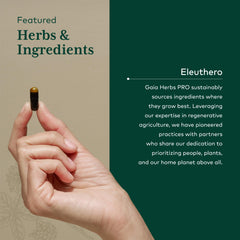 Lab testing and potency documentation for Eleuthero ingredients