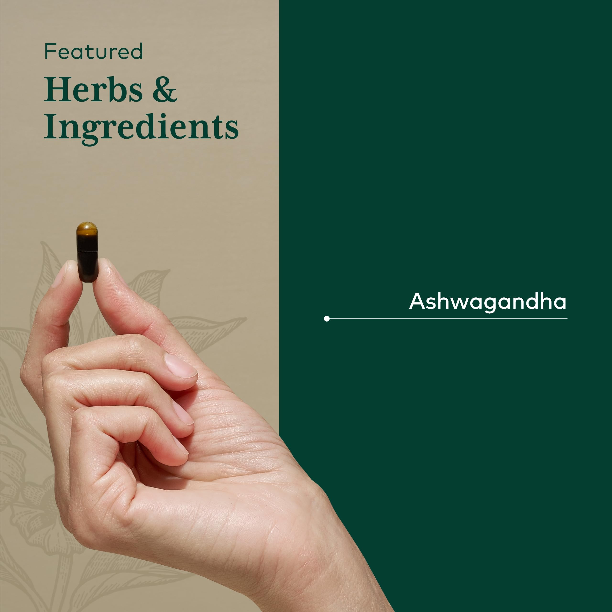 On regenerative organic farm field Gaia Herbs PRO grows high-potency herbs.