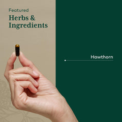 Hawthorn leaf and flower components in GAIA Herbs PRO Hawthorn