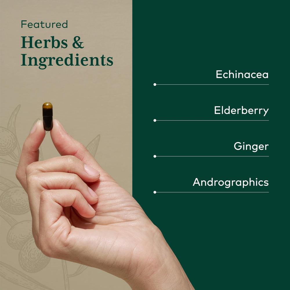 Active ingredients featuring Ginger Root and Andrographis