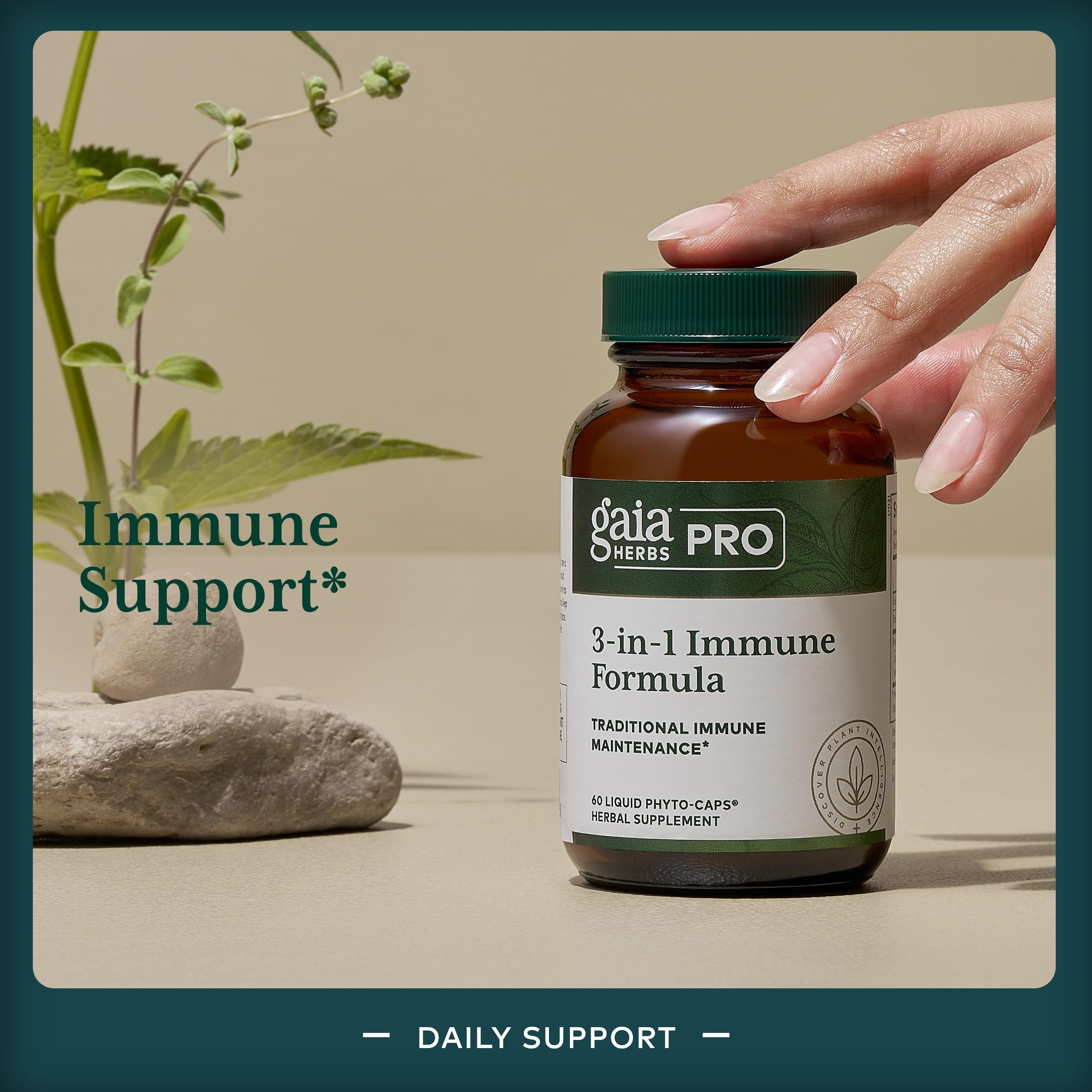 Organic astragalus root featured as an ingredient