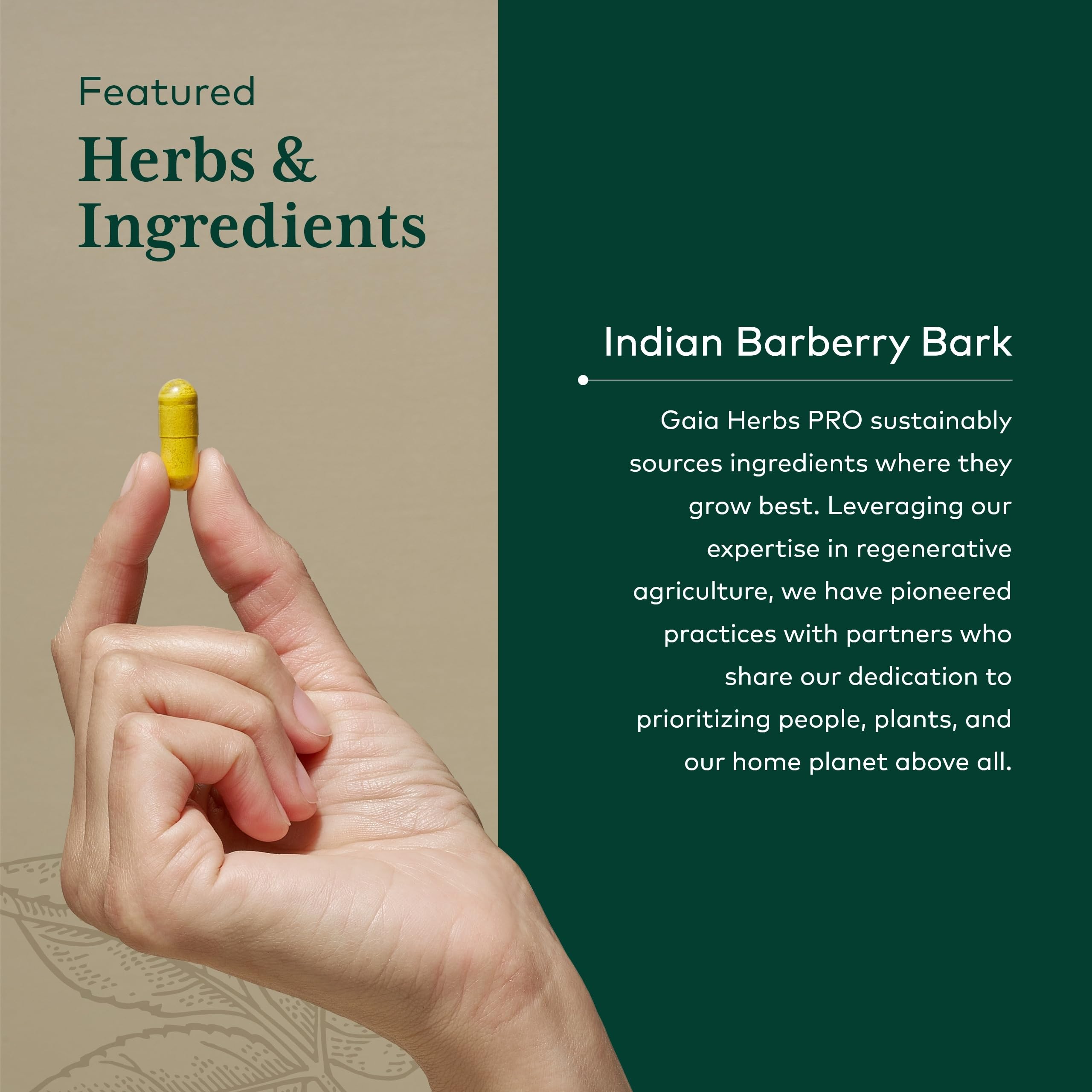 GAIA Herbs PRO Berberine Metabolic uses Indian barberry bark for metabolic support