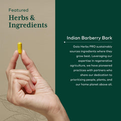 GAIA Herbs PRO Berberine Metabolic uses Indian barberry bark for metabolic support