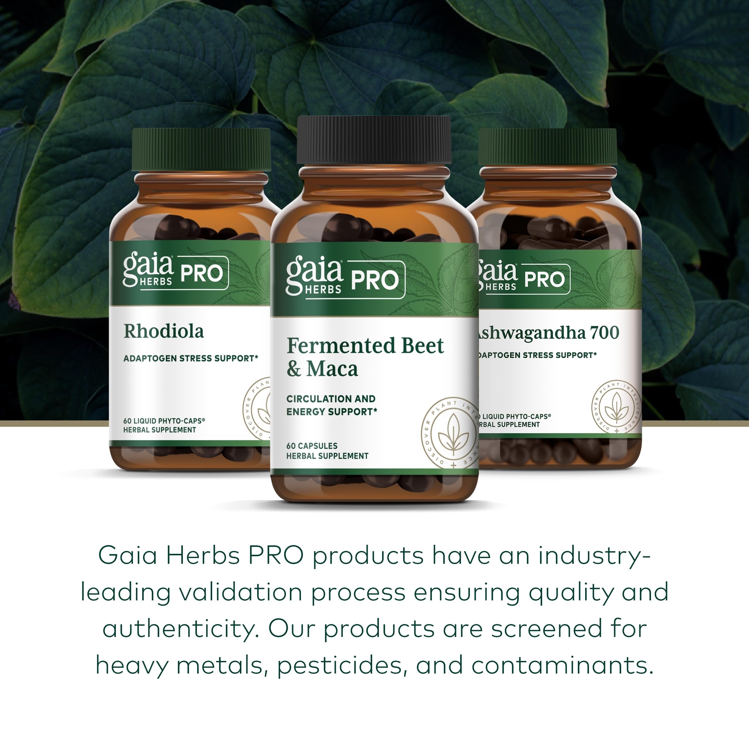 GAIA Herbs PRO label shows vegan, gluten-free, soy-free formulation.