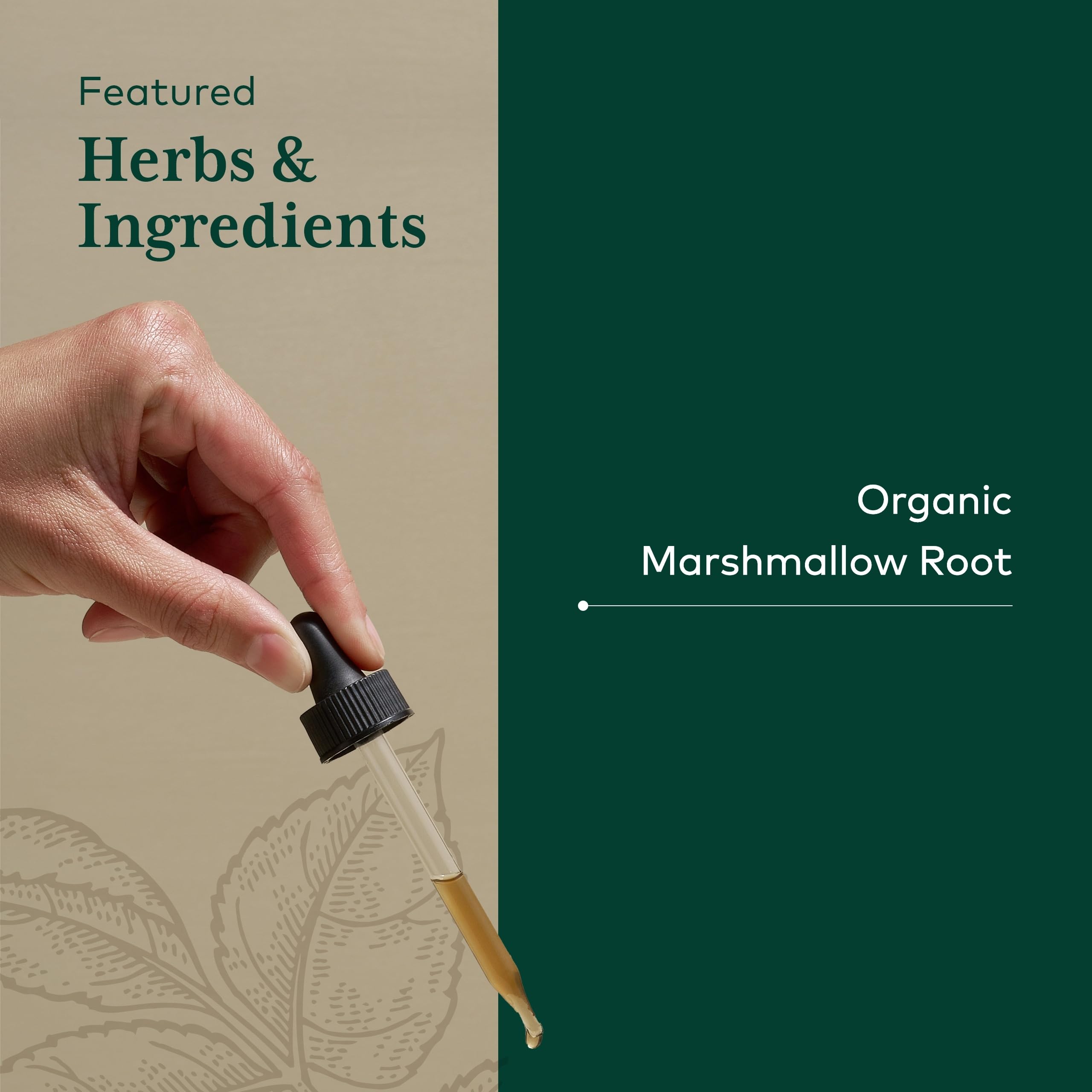 Marshmallow Root product label detail