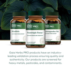 Lemon balm leaves used in GAIA Herbs PRO Nootropic Focus