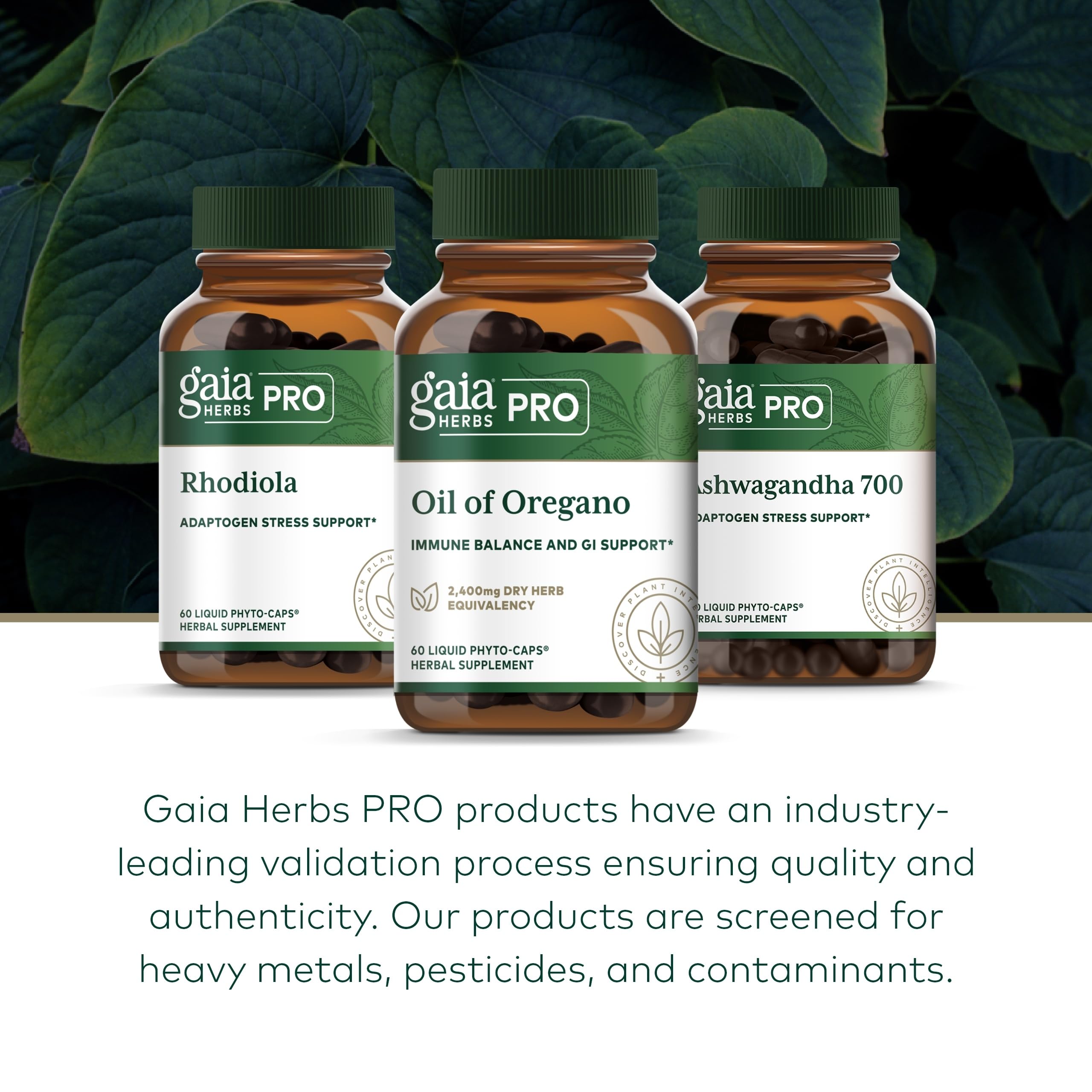 60 vegan capsules next to the bottle