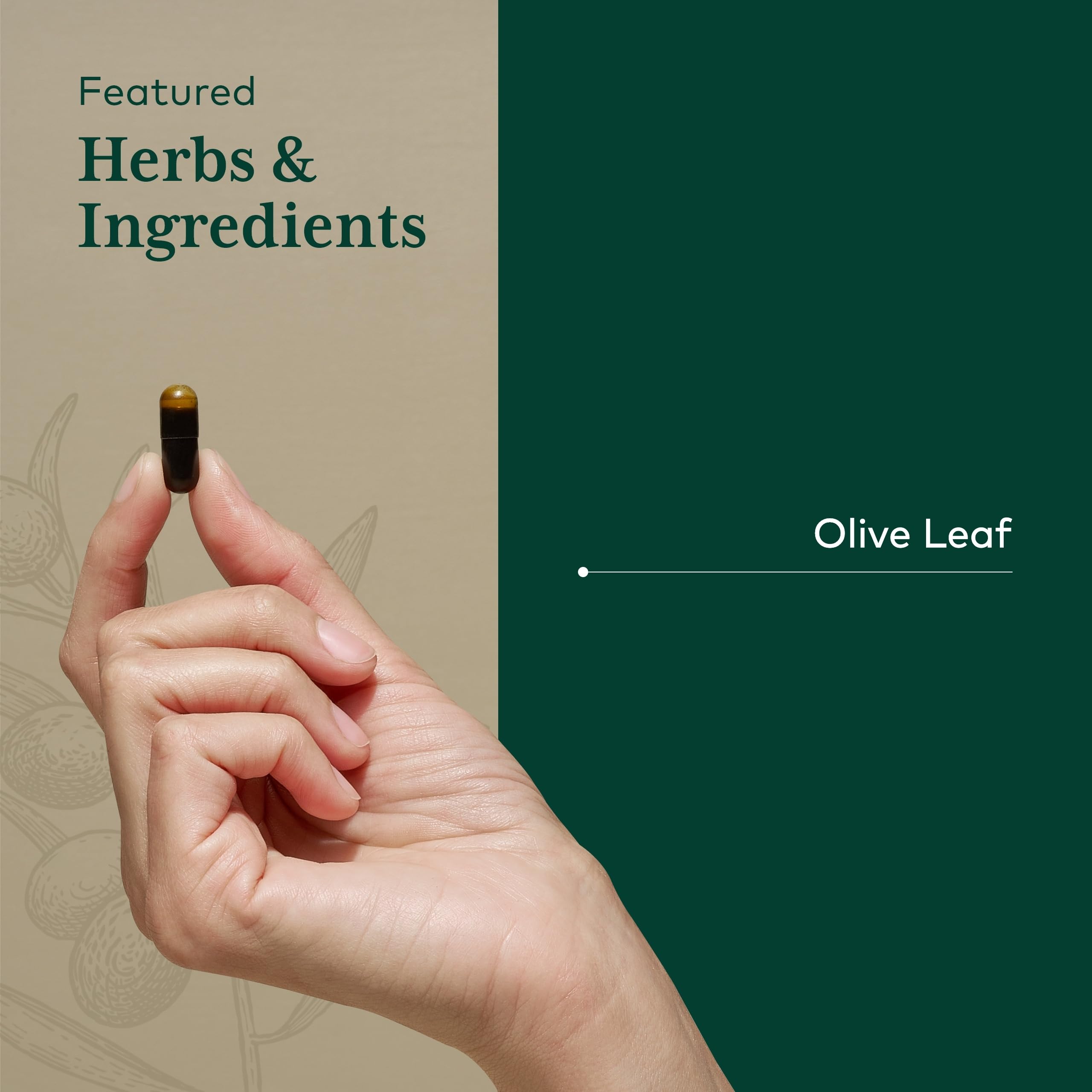 120 liquid phyto-caps serving size for Olive Leaf 1360