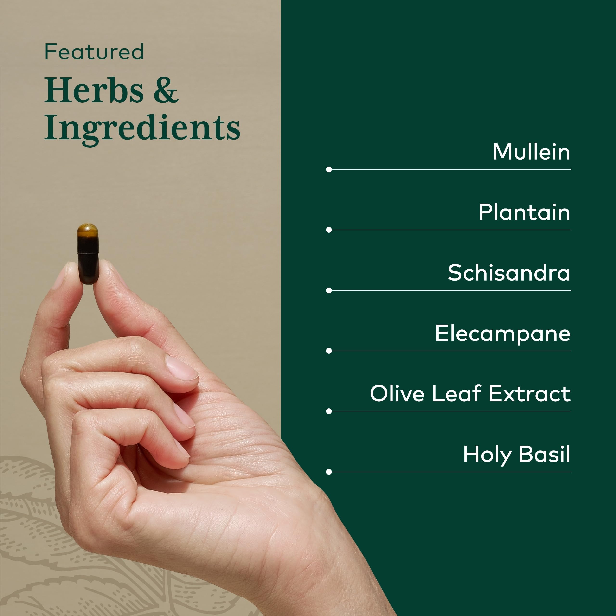 Olive oil and lecithin used to enhance absorption