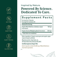 Organic elderberry extract for immune support