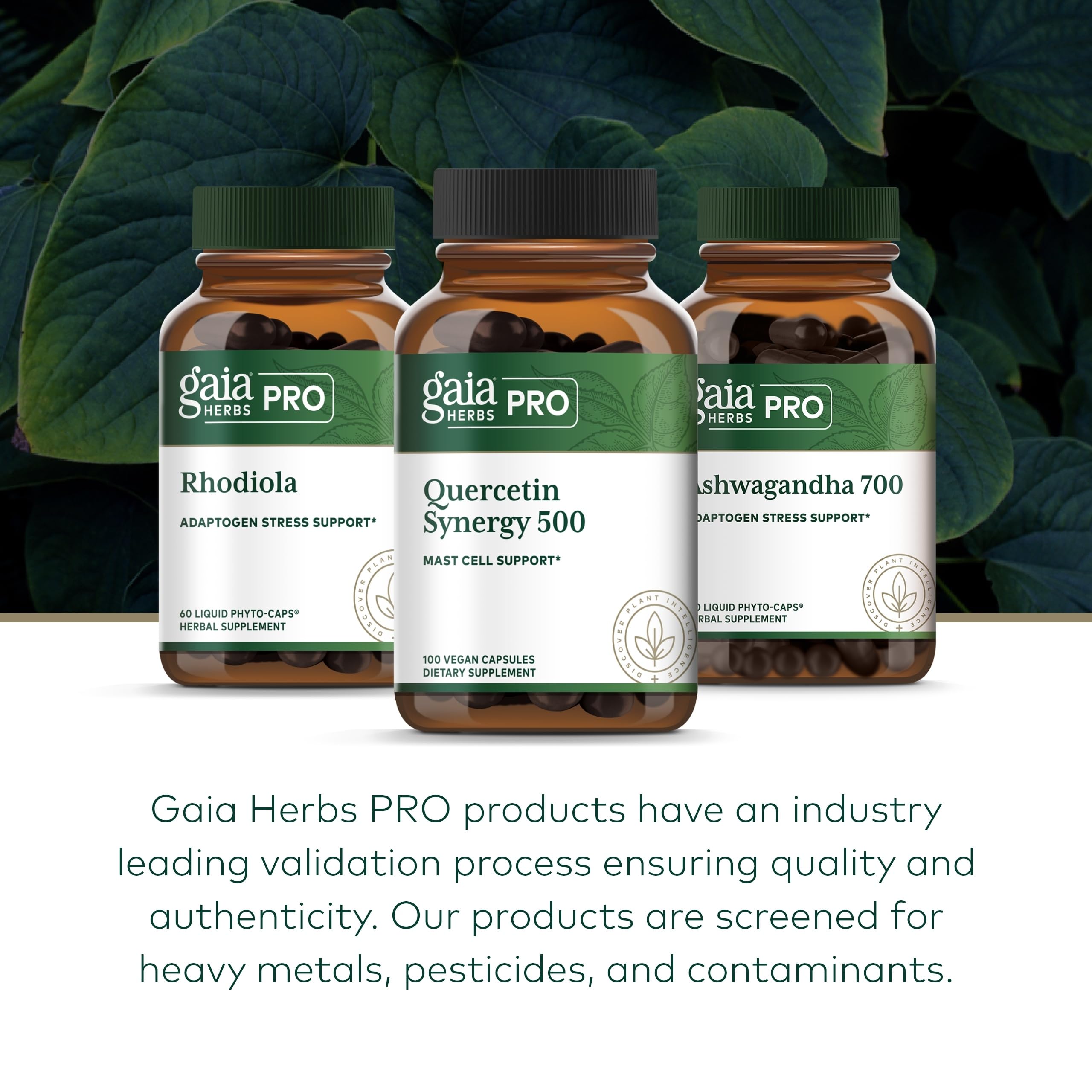 Gaia Herbs regenerative organic farm in North Carolina