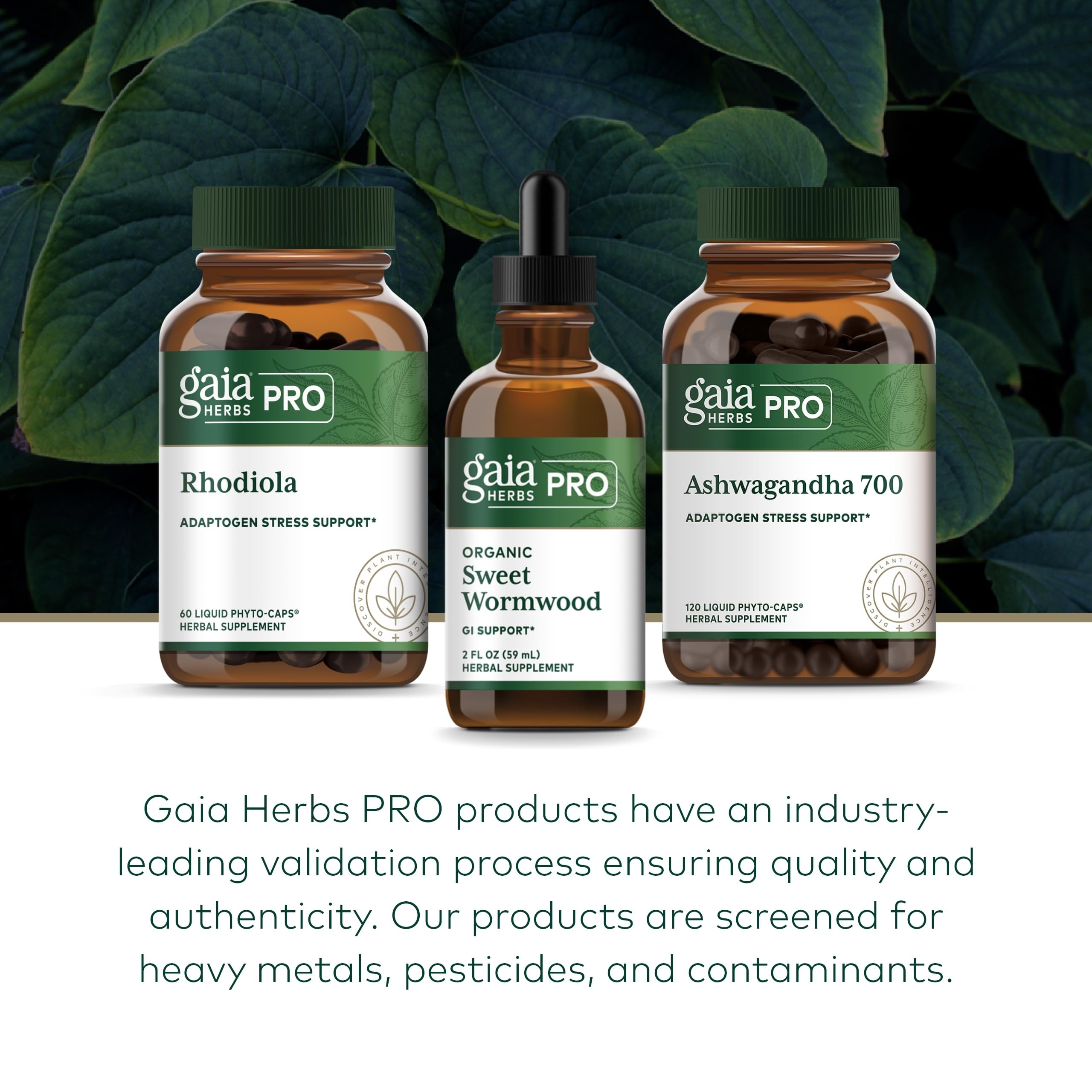 Regenerative Organic Certified Gaia Herbs farm image