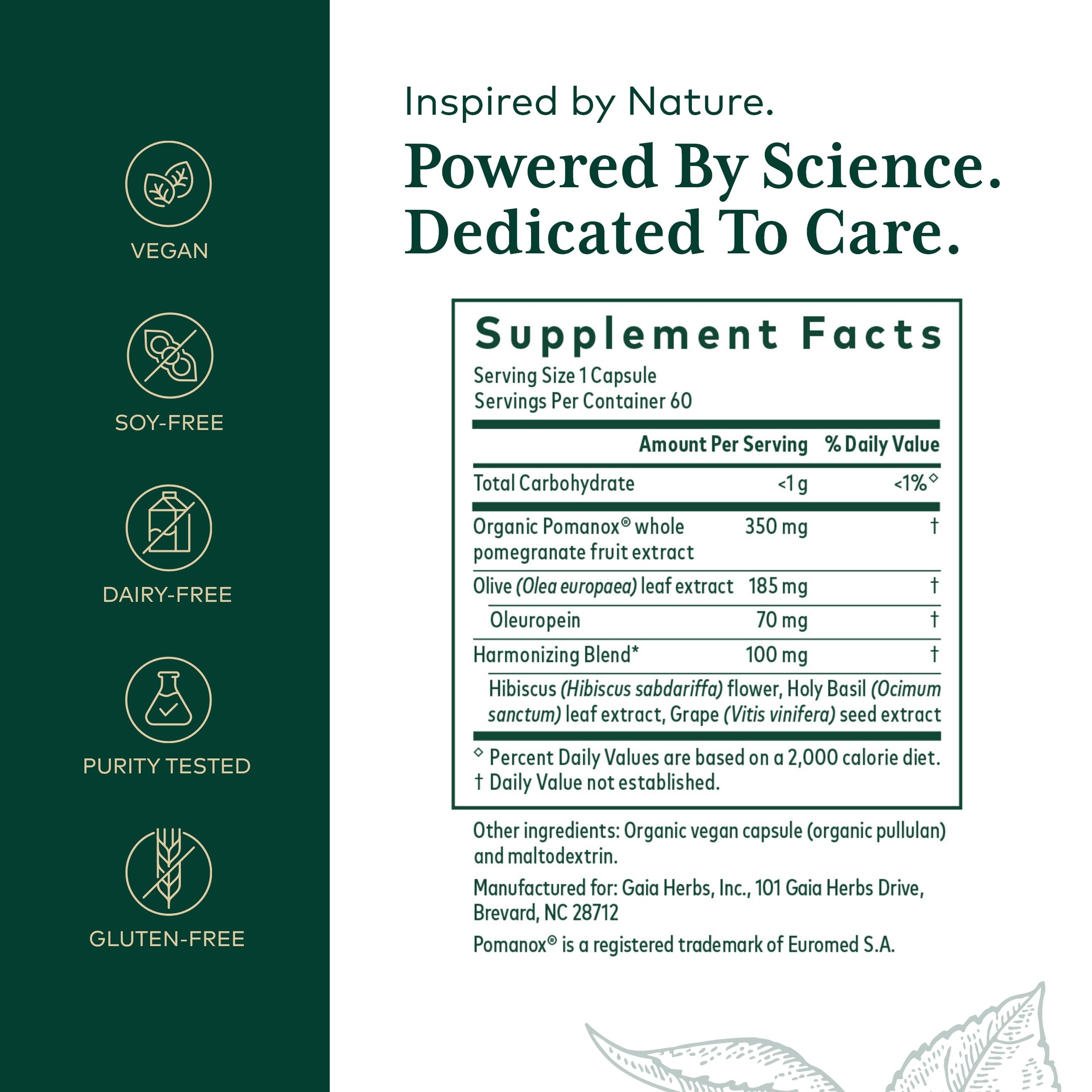 Close-up of Pomanox pomegranate extract used in the formula