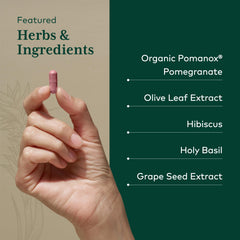 Grape seed and holy basil in Gaia Herbs PRO Systolic Complex