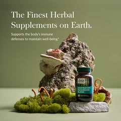 Side view of Gaia Herbs Respiratory Mushroom Blend bottle