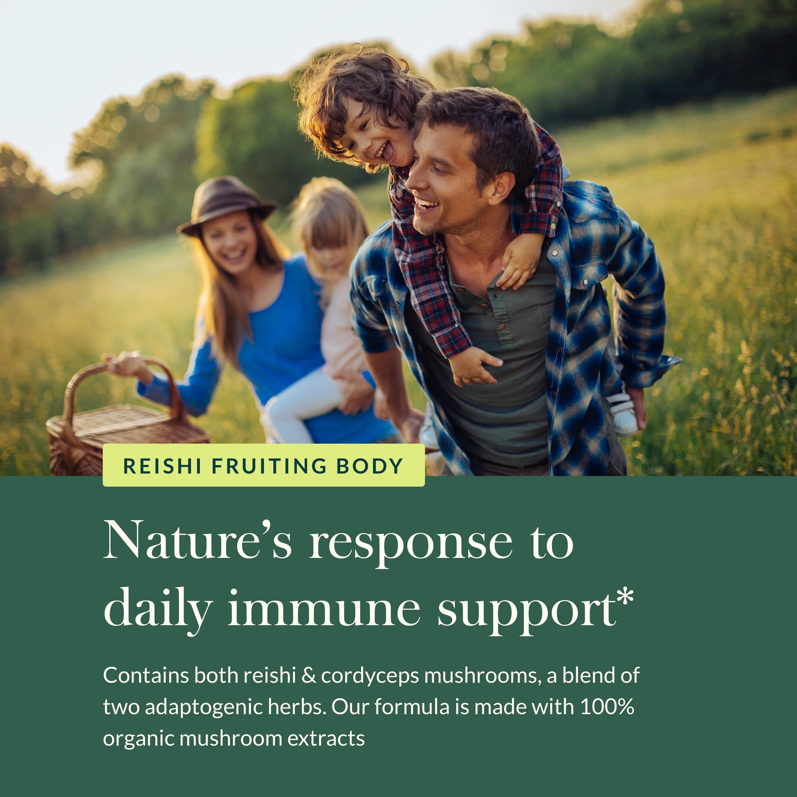Reishi and Cordyceps mushrooms used in the formula