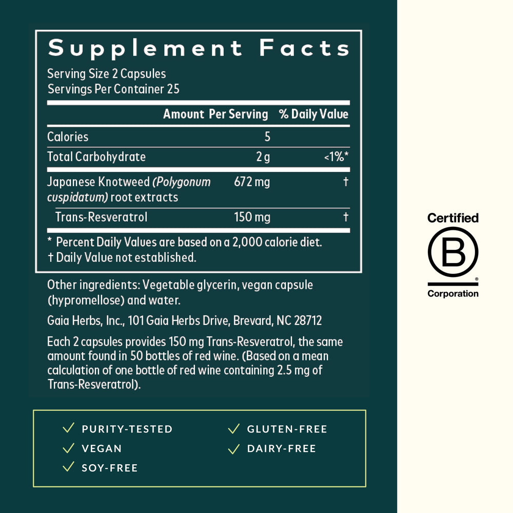 Japanese Knotweed plant associated with resveratrol supplement