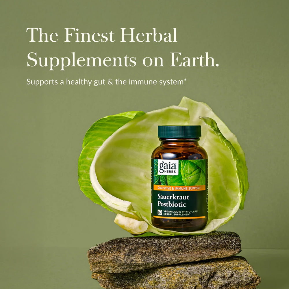 Close up of Gaia Sauerkraut Postbiotic vegan capsules