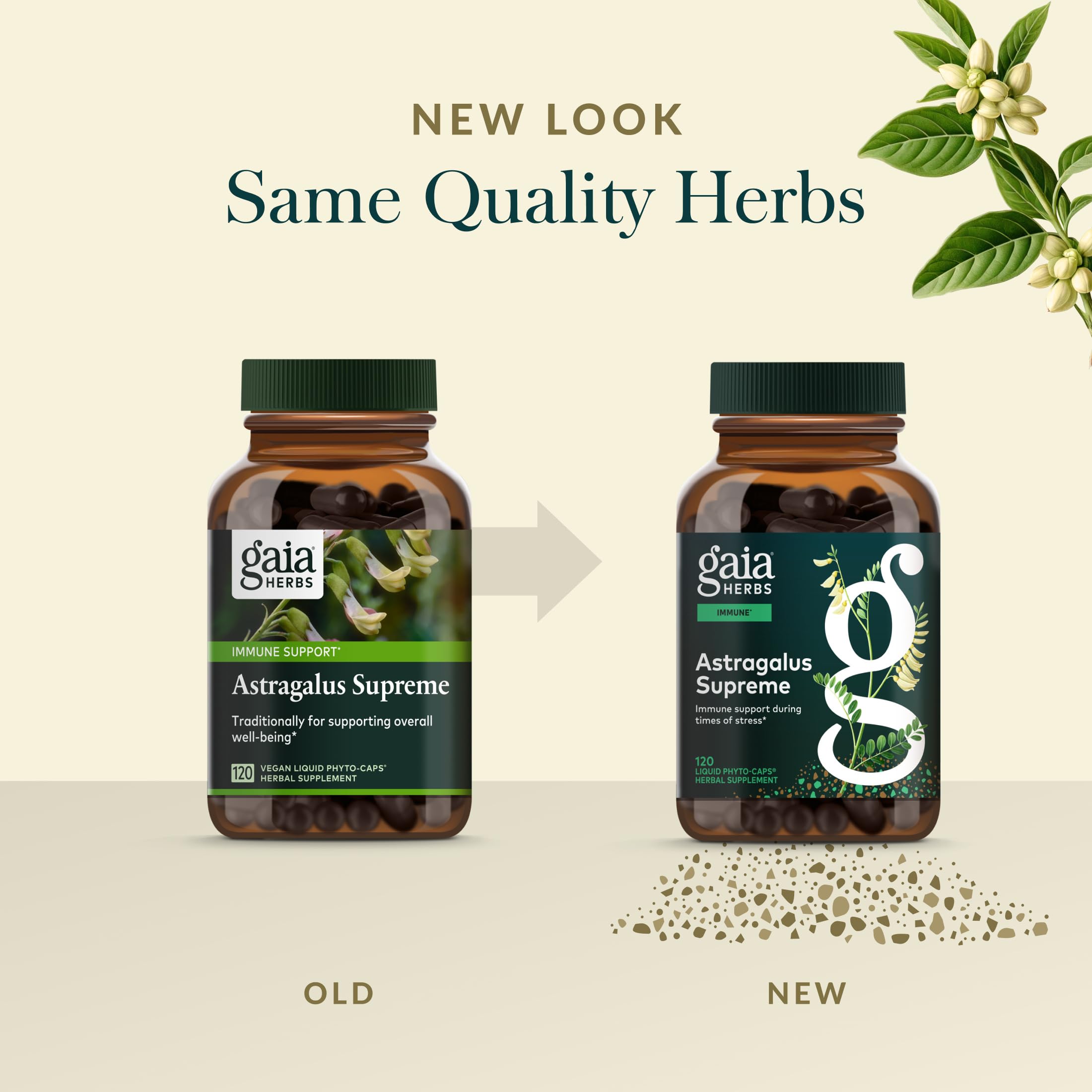 Gaia Herbs Schisandra Berry image showcasing vibrant red berries.
