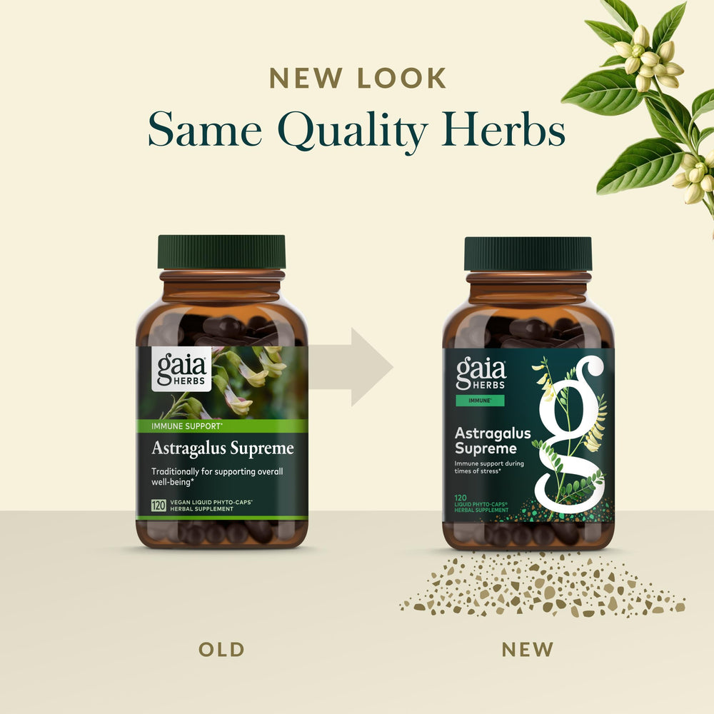 Gaia Herbs Schisandra Berry image showcasing vibrant red berries.