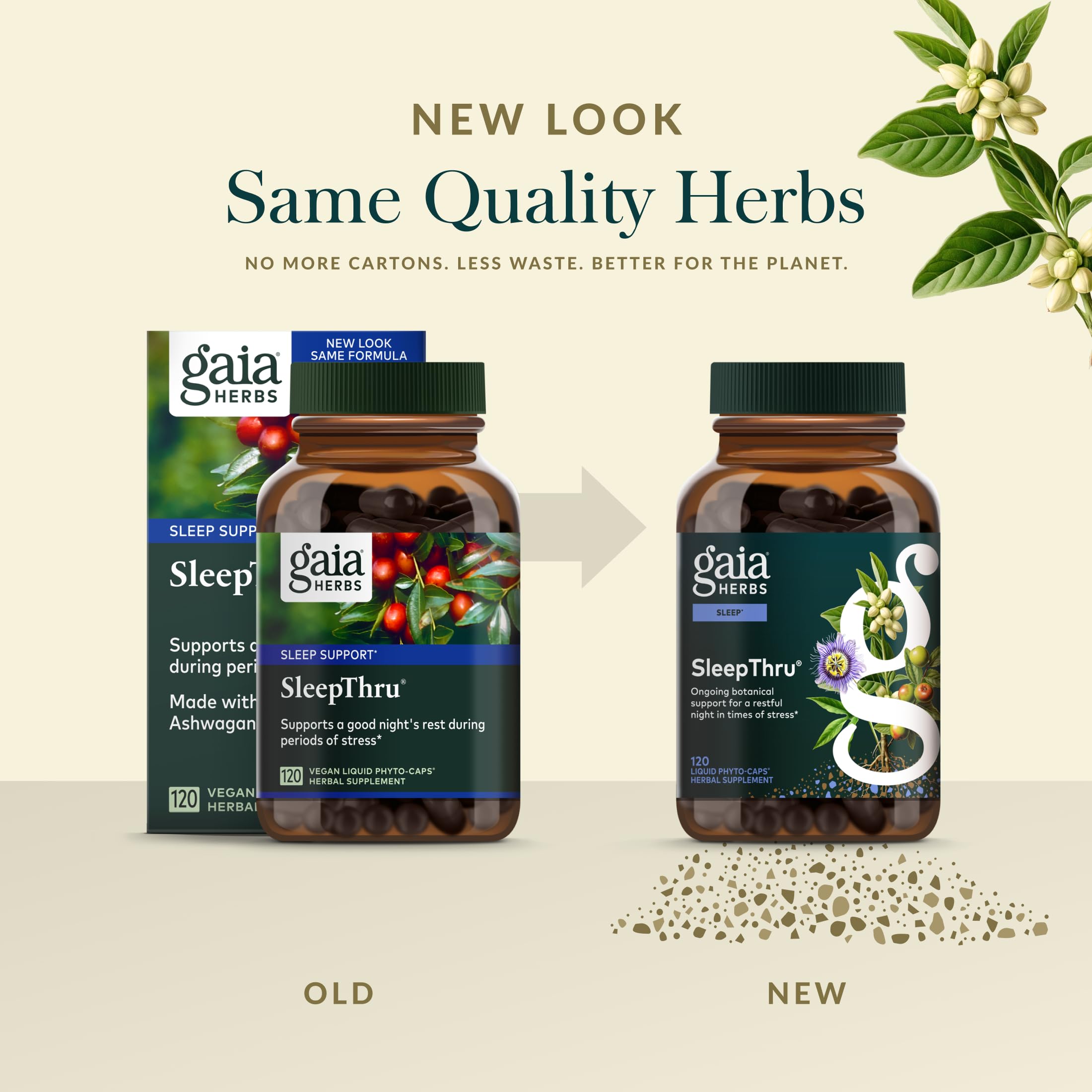 Gaia SleepThru jujube date image conveys soothing herbal notes for sleep.
