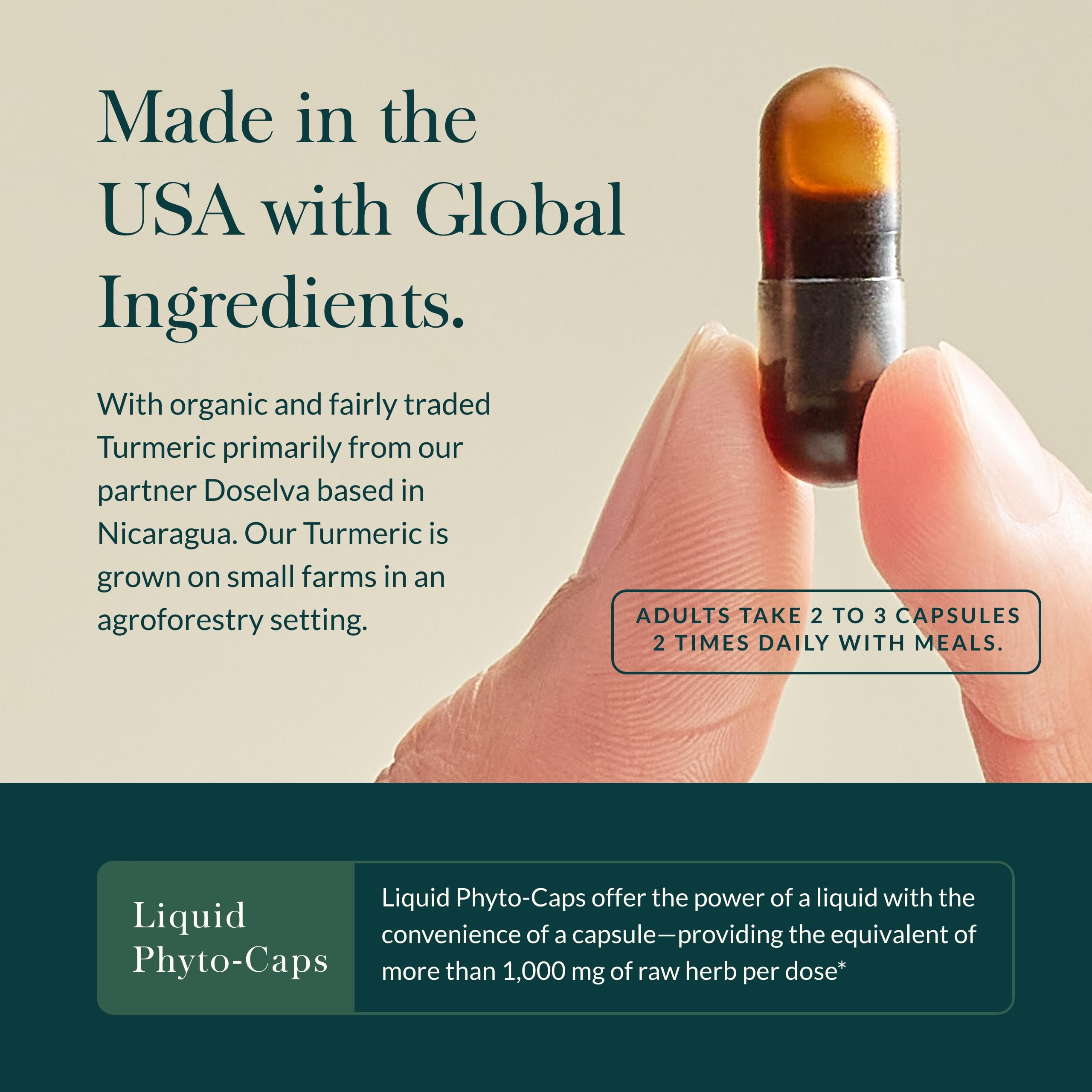 Close-up of Gaia Herbs Sinus Support label