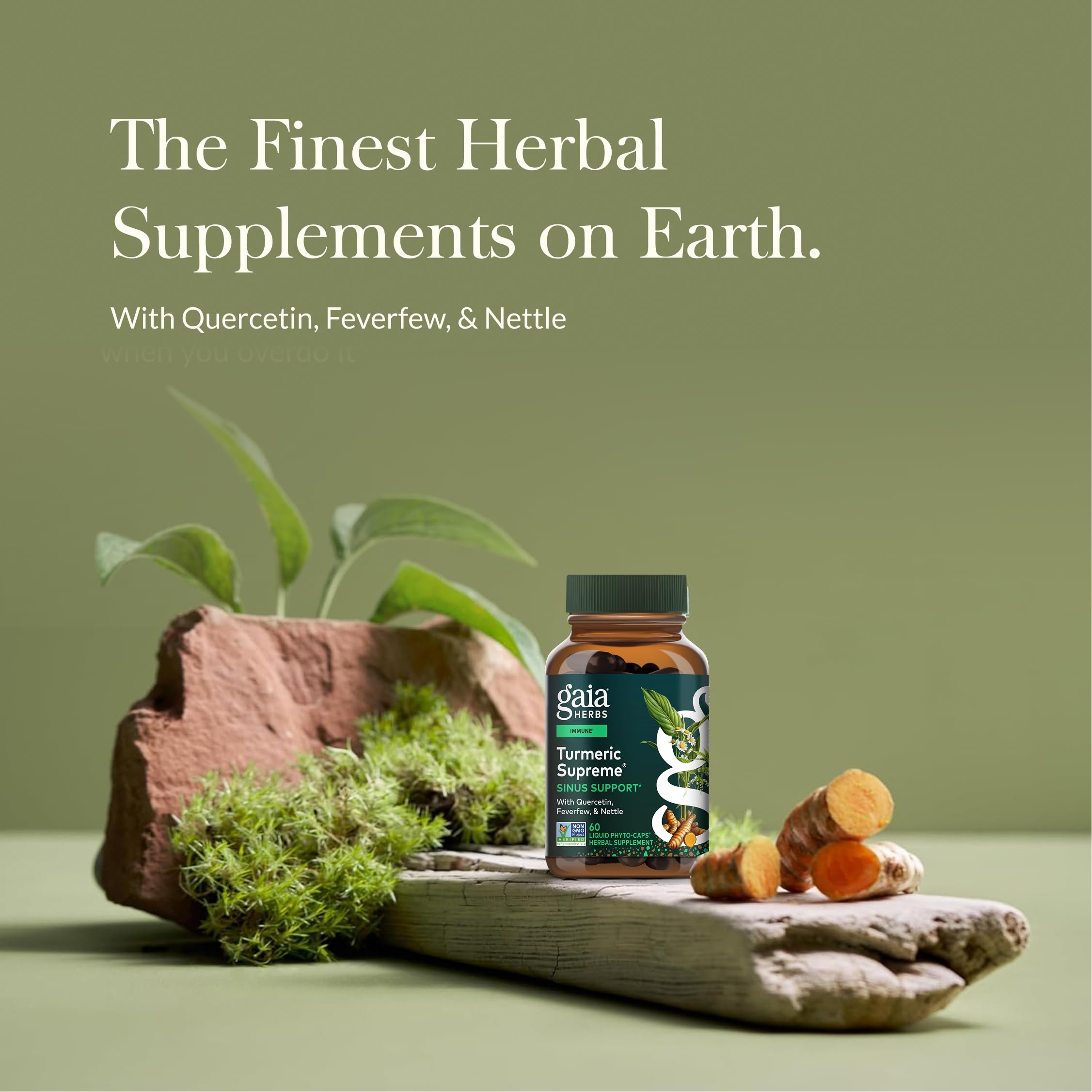 Gaia Herbs capsule close-up showing smooth vegan Phyto-Cap texture and easy swallowing