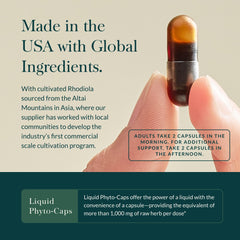 Ashwagandha plant with berries used in the supplement