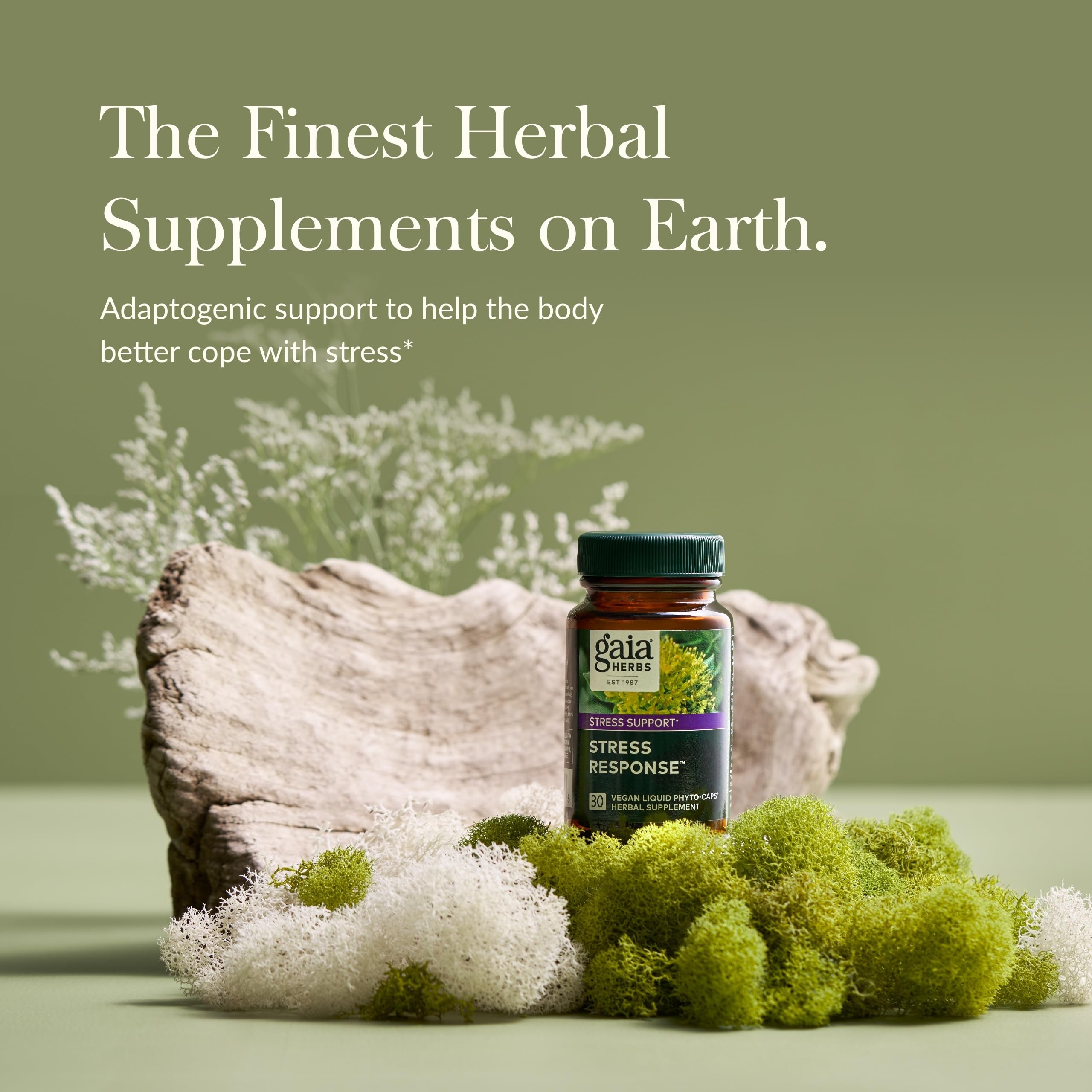 Holy Basil leaves shown for its adaptogenic properties