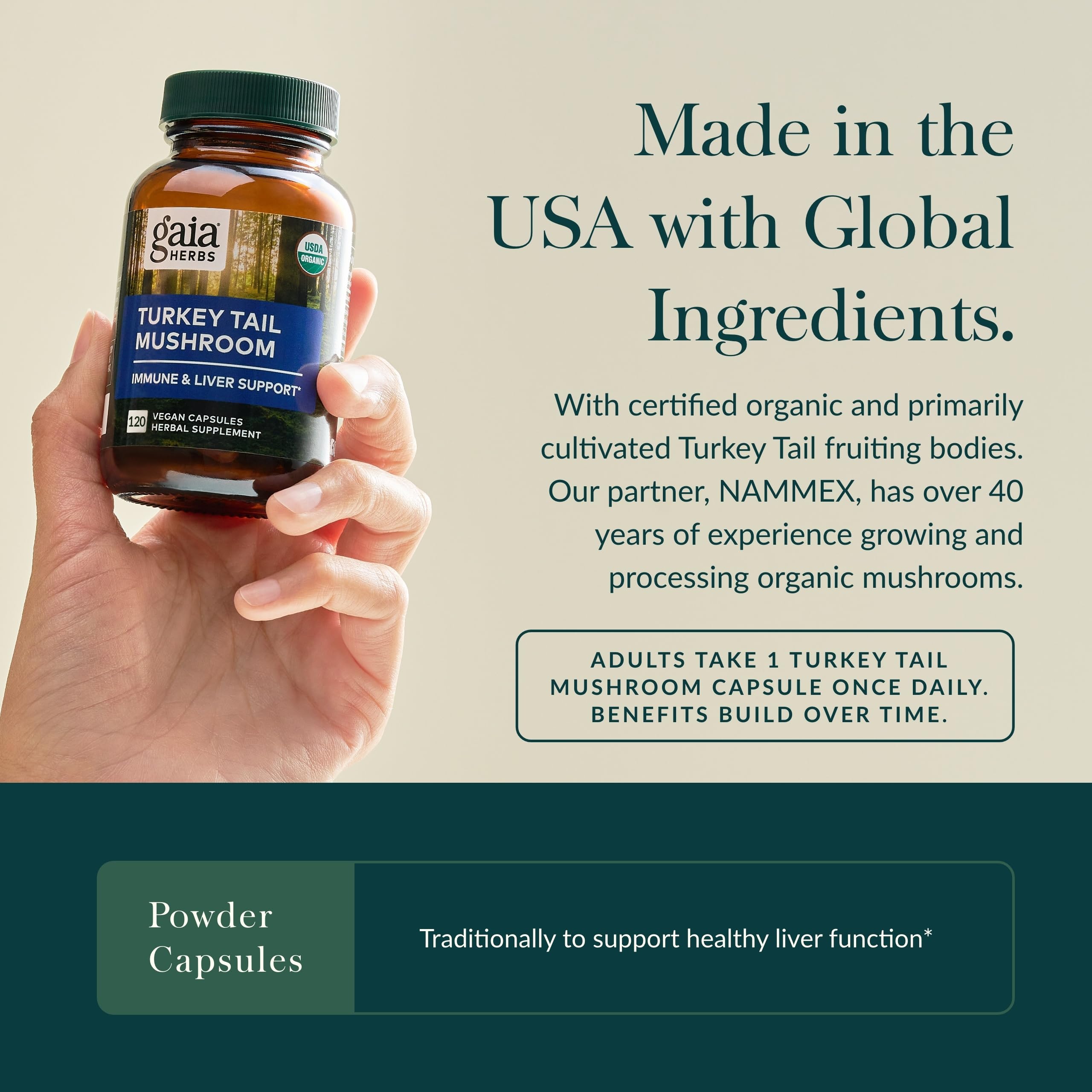 Close-up of Turkey Tail mushroom immune-support capsule